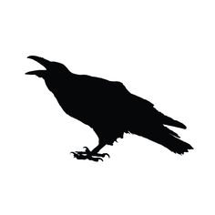 a black crow silhouetted against a white background