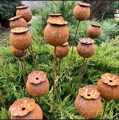 a group of vases that are sitting in the grass