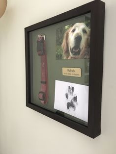 a dog's paw and handprints are on display in a glass case