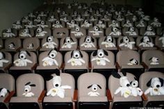 rows of chairs with stuffed dogs sitting in them