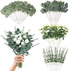 PRICES MAY VARY. 4 Kinds Mixed Eucalyptus Stems: you will receive 60 pieces of eucalyptus greenery stems in 4 different styles, they are different in shapes and sizes, the ample quantity can certainly meet your wedding table decorative needs, making your wedding more romantic and eye catching. Size Detail: the thin eucalyptus sprigs are approx 15 inches in height, and the other eucalyptus stems are approx 13 inch. Material: The leaves of our greenery stems are made of fine silk and the stems are Wedding Bouquet Arrangements, Eucalyptus Bundle, Mixed Eucalyptus, Vase Bouquet, Wedding Vase, Dollar Eucalyptus, Feuille Eucalyptus, Dried Eucalyptus, Eucalyptus Branches