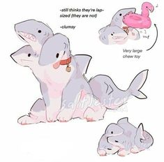 Shark Art, Cute Shark, Creature Drawings, Cute Doodles Drawings, Fantasy Creatures Art, Cute Doodle Art, Mythical Creatures Art, Dessin Adorable, Creature Concept Art