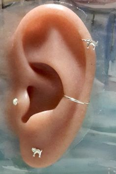 an ear is shown with two small white beads on it's side and one has a nose ring