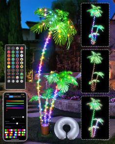 the palm tree has been decorated with colorful lights