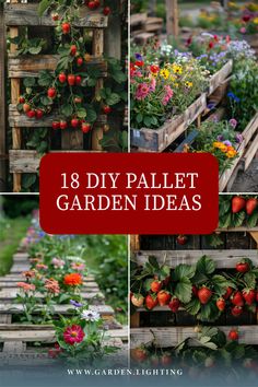 a close up of a collage of pictures of a garden with strawberries Diy Pallet Garden Ideas, Pallet Garden Box, Pallet Garden Ideas Diy, Diy Pallet Garden, Pallet Garden Ideas, Pallet Garden Walls, Garden Ideas Diy, Pallet Projects Garden, Pallet Ideas Easy