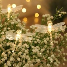 some white flowers with lights on them