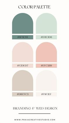 the color palette for branding and web design by praice creative studio, inc