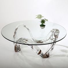 a glass table with a plant in it on the top and bottom, against a white background