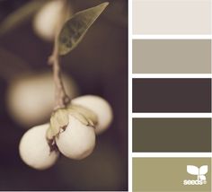 Color Palette For House, Berry Tones, Diy Air Freshener, Neutral Color Palette, Natural Homes, Exterior Paint Colors For House, Natural Home Decor, Gray Design