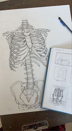 Skeleton art sketch ideas draw Med School Drawings, Drawing Ideas Medicine, Backbone Sketch, Medicine Drawing Art, Medical Aesthetic Drawing, Medical Drawings Anatomy, Medicine Drawing Ideas, Motivational Sketches, General Surgeon Aesthetic