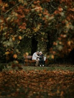 an older couple sitting on a bench in the park with autumn leaves around them and trees behind them