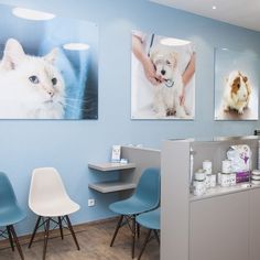 the front desk of a pet grooming salon with two pictures on the wall and three chairs