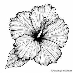 a black and white drawing of a flower