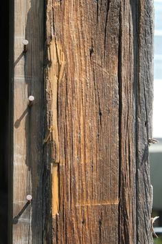 an old wooden post with nails on it