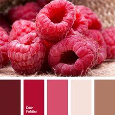 some raspberries are sitting on the ground with color swatches in front of them