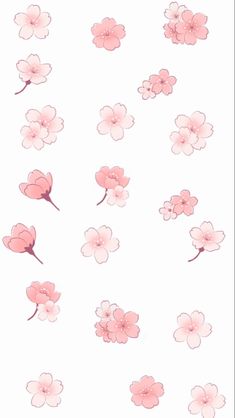 pink flowers are arranged on a white background