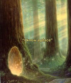 an image of a forest scene with the words i know a place