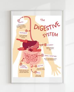 the digest system poster in white frame on wall