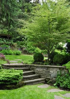 an outdoor garden with stone steps and trees