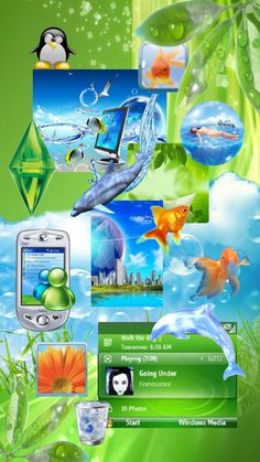 a green background with many different pictures and animals on it's side, including an image of a dolphin