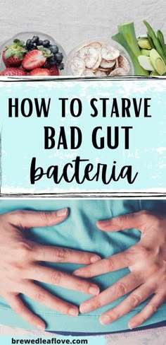 How to Starve Bad Gut Bacteria and Improve Gut Flora - Empty Nest Bliss Healthy Gut Diet, Gut Healing Foods, Healthy Gut Recipes, Gut Recipes, Improve Your Gut Health