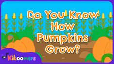 the words do you know how pumpkins grow?