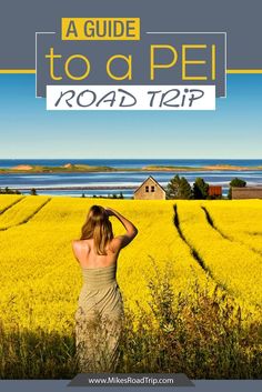 a woman standing in a field with the words, a guide to a pet road trip