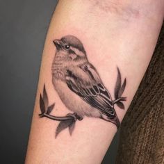 a small bird sitting on top of a branch with leaves in it's claws