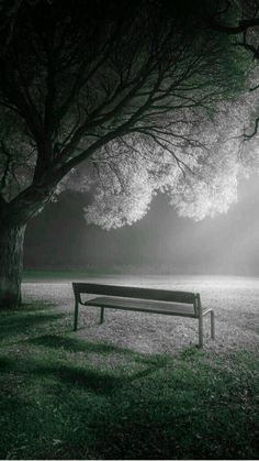 a park bench sitting under a tree in the middle of a grassy field at night