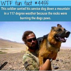 a man holding a dog in his arms with the caption, this soldier carried his service dog down a mountain because it was 17 degrees and the rocks were burning his feet