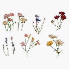 six stickers with different types of wildflowers on them, all in various shapes and sizes