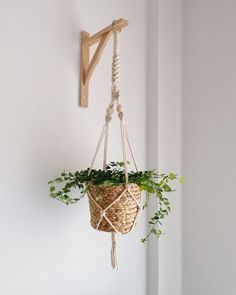 Planta colgante, planta colgada, colgador macramé, colgador plantas macramé, macetero mimbre, macetero de mimbre, planta para colgar, ficus colgante, soporte para plantas, macramé, decorar con plantas. Hanging Plant Ideas, Indoor Plant Wall, Hanging Plant Wall, Plants Wall, Old Picture Frames, Hanging Design, Boho Deco, Plant Ideas