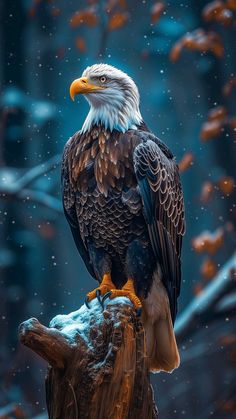 an eagle sitting on top of a tree stump in the snow