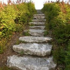 there is a set of stone steps in the woods