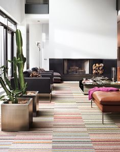 a living room filled with lots of furniture and a large cactus in the middle of the room