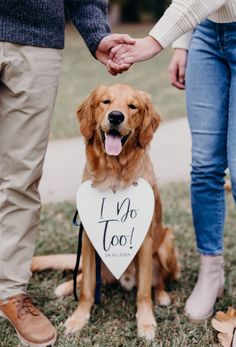 a couple holding hands and petting a dog with a sign in the shape of a heart that says i do too