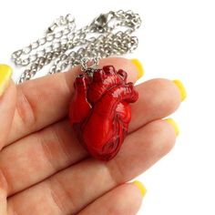 Realistic anatomical heart is a perfect gift for a doctor, paramedic, nurse or medical student.The size of a heart is about 1.3*1 inches (3,2*2,4 cm).The length of the necklace is adjustable from 18 to 21 inches. I can make any other length for your necklace and make а heart into other colors, just contact me before you buy.Material: polymer clay, stainless steel.♥ Anatomical Heart Brooch https://www.etsy.com/listing/655838975/anatomical-heart-brooch-realistic♥ Anatomical Heart Earrings https:// Realist Heart, Red Heart-shaped Novelty Jewelry, Red Heart Necklace With Lobster Clasp As Gift, Red Heart Necklace With Lobster Clasp For Gift, Red Heart Necklace With Lobster Clasp, Red Heart Jewelry, Clay Business, Anatomical Heart Necklace, Medical Student Gift