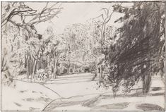 a pencil drawing of a park with trees