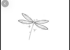 a black and white drawing of a dragonfly