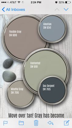 the five shades of gray paint