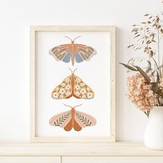 three moths in different colors on a white wall next to a vase with dried flowers