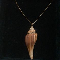 Brand New 14kt Gold Plated Satellite 17” Chain With 14kt Gold Plated Natural Tan Conch Shell Pendant. So Beautiful! Listed Elsewhere Please Check Availability Price Reflects Fees Conch Shell, Shell Necklace, Natural Tan, Shell Pendant, Shell Necklaces, Conch, 14kt Gold, So Beautiful, Womens Jewelry Necklace