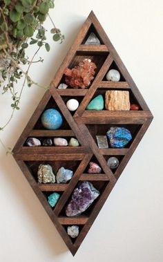 a wooden shelf filled with lots of different types of rocks and stones next to a potted plant