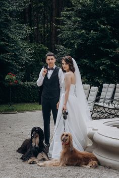 a bride and groom pose with their dogs