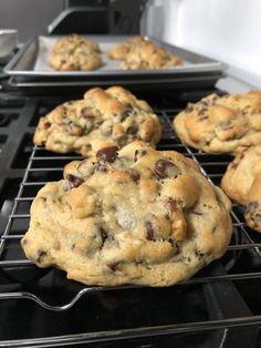 chocolate chip cookies cooling on an oven rack