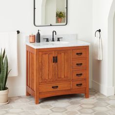 a bathroom with a sink, mirror and potted plant