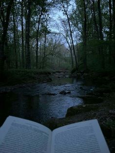 an open book sitting on top of a river in the woods next to a forest