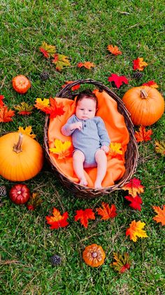 a baby laying in a basket surrounded by fall leaves and pumpkins on the grass