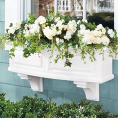 a window box filled with white flowers and greenery