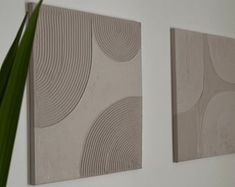 two abstract paintings on the wall next to a plant